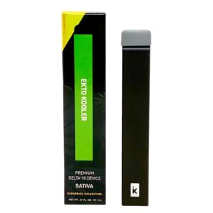 Binoid Delta 10 THC Vape Disposable Ekto Kooler 1g