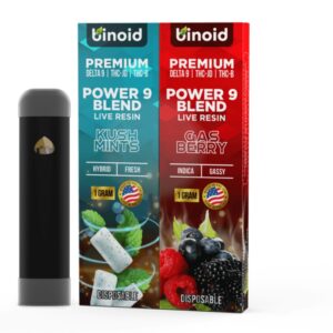 Binoid Power 9 Blend Live Resin Disposable Kush Mints 1g